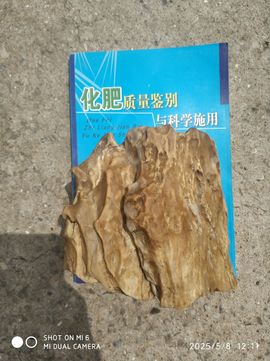 编-终主播照片