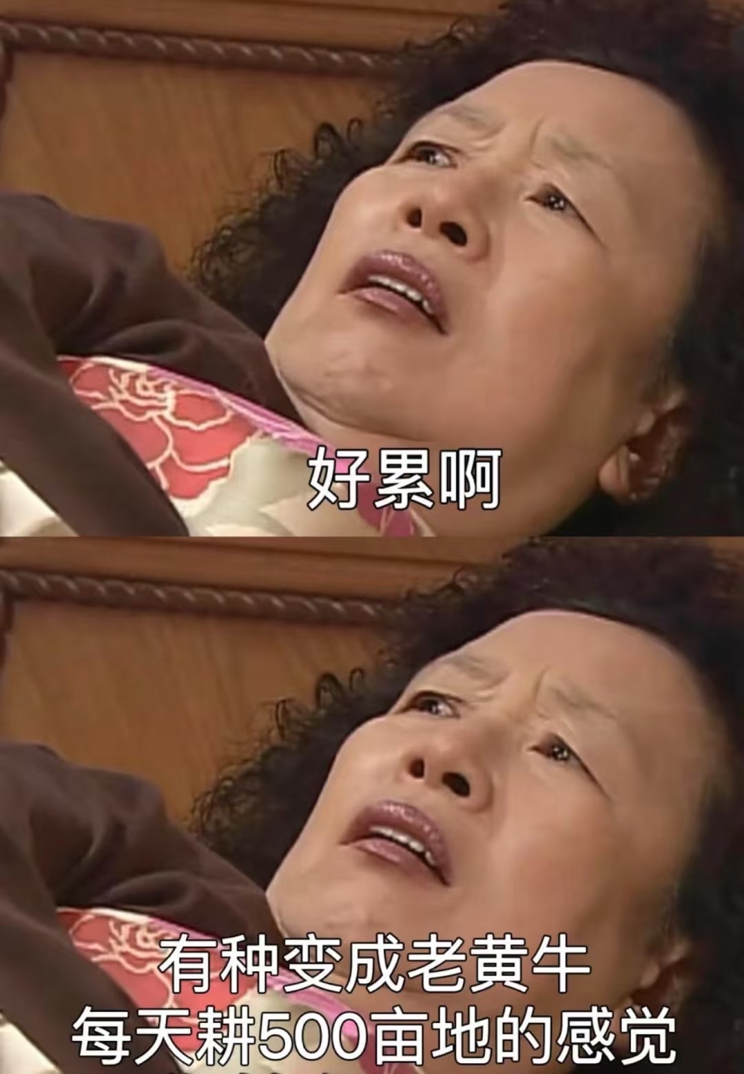 一鹿ღ鹿鹿鹿鹿吖~~的图片