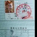 骑着毛驴去上班0
