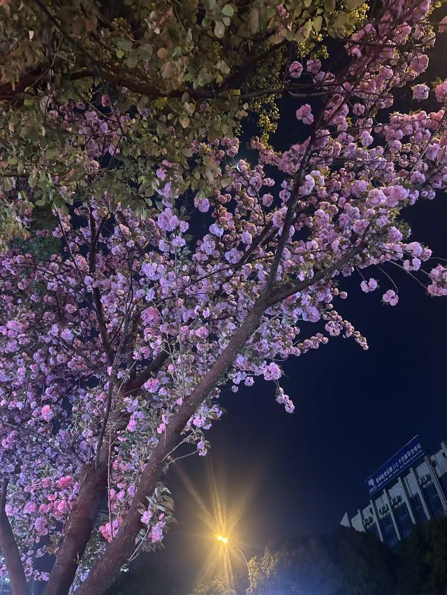 米娜🦋常欢喜主播图片
