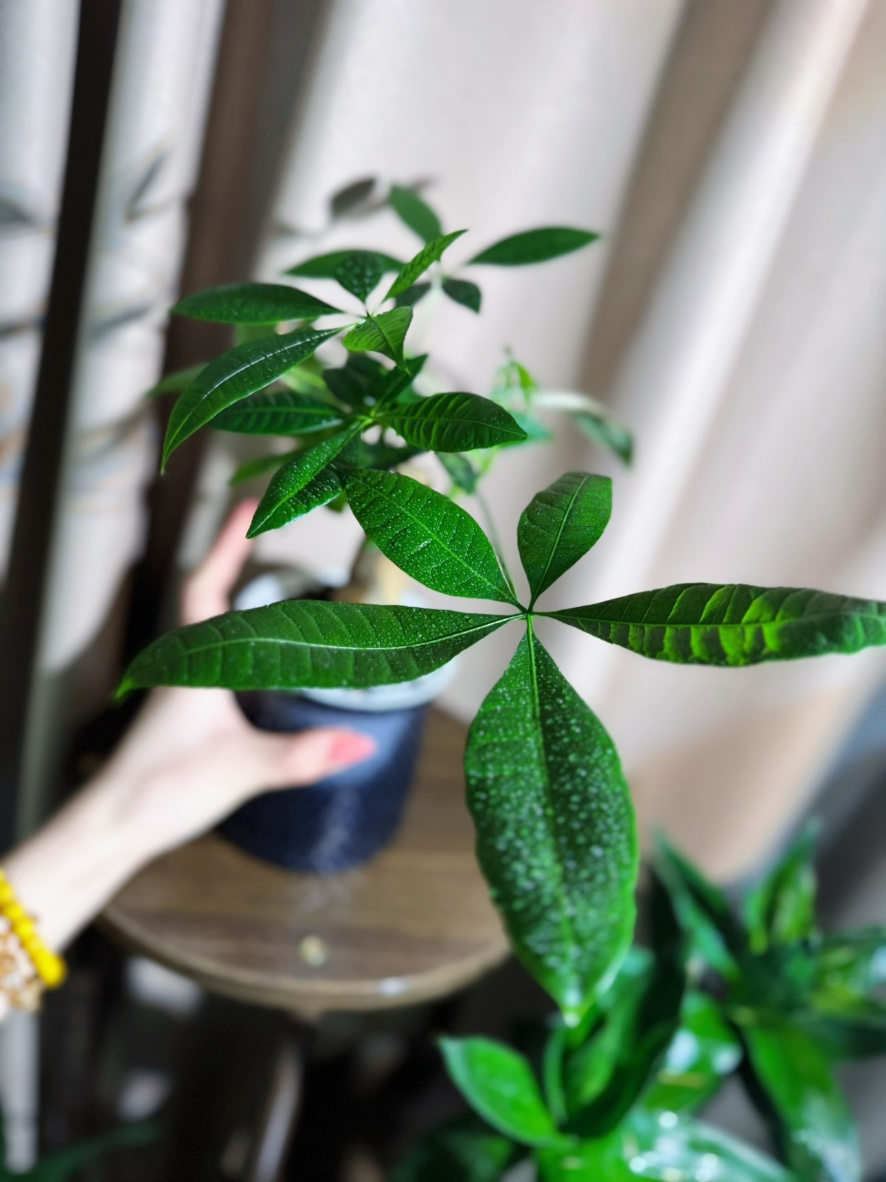 毛28💗的图片