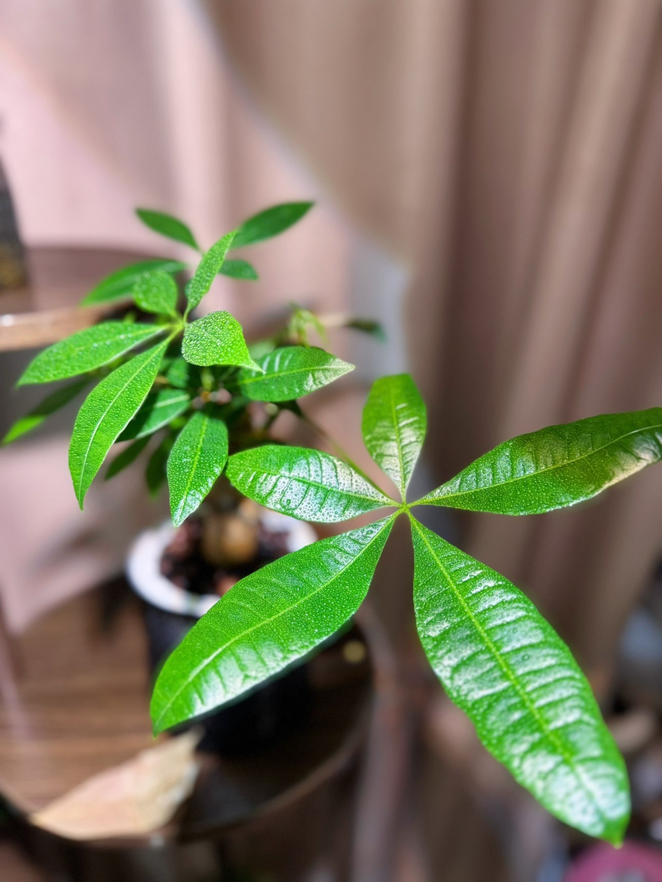 毛28💗的图片