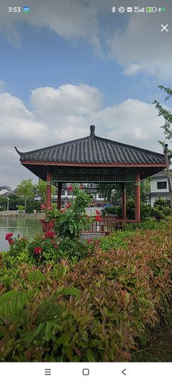 婷婷💕求过月底任务主播照片