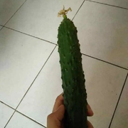 欢迎5老公