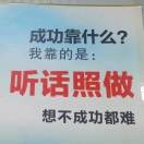 财源广进6*9的头像