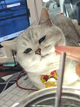 陈咩咩主播照片