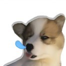 💤774