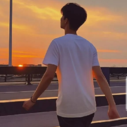 小李爱辰宝