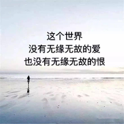 消失的他.