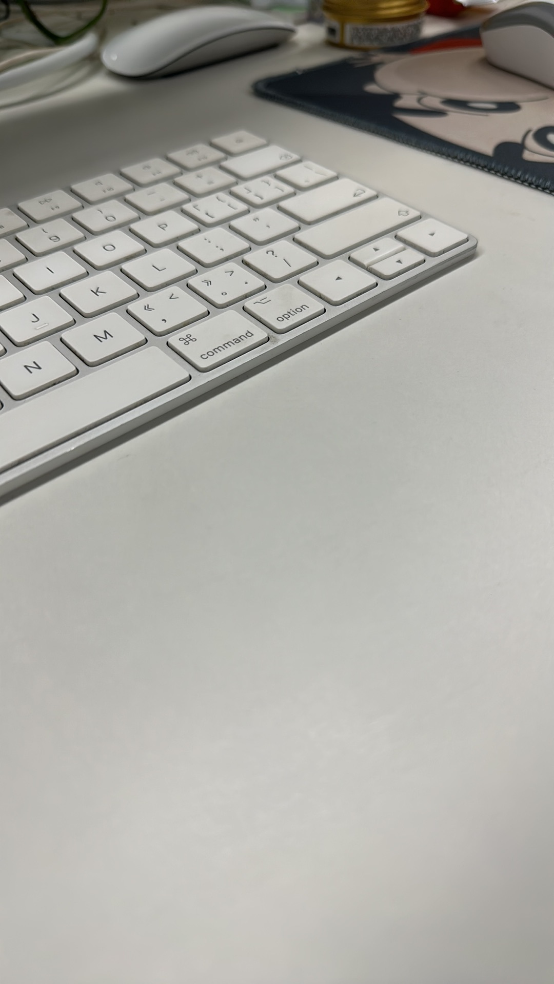 萌新宝宝elcU8P主播图片