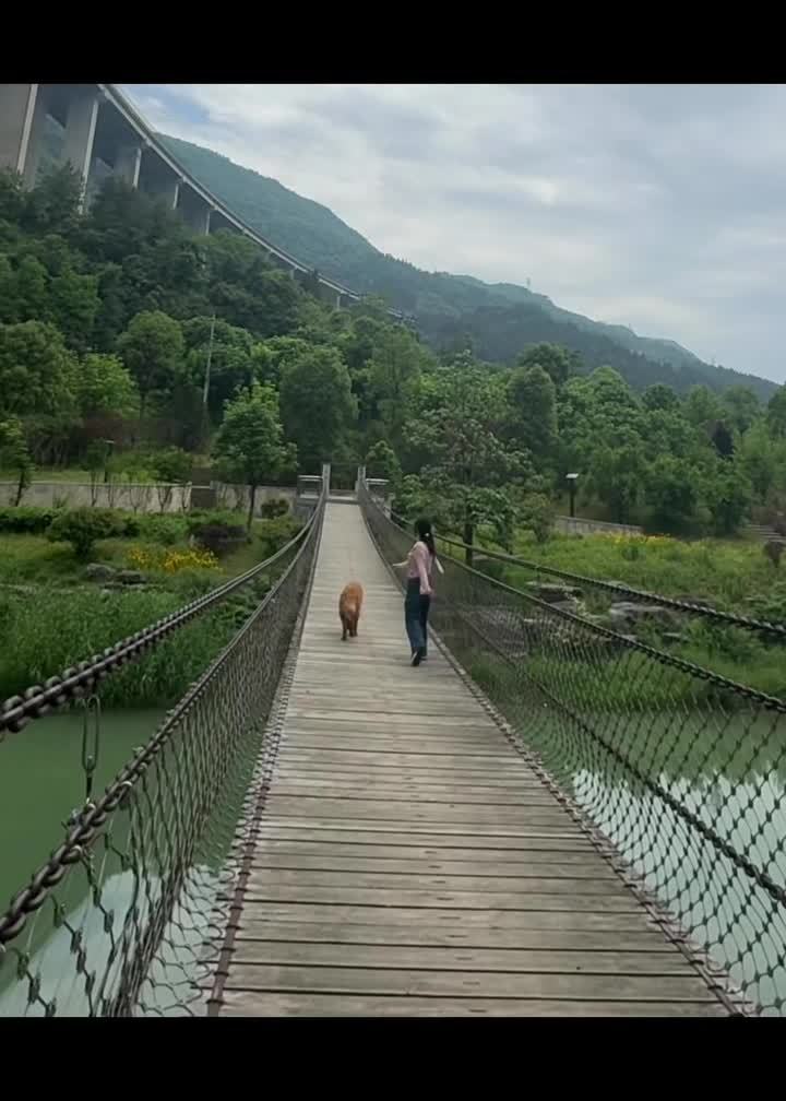 已识乾坤大 犹怜草木