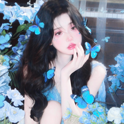 言欢♚
