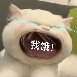 小雪碧💓主播照片