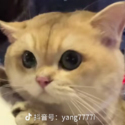 好運@先生的頭像