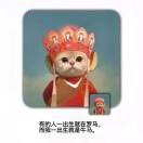 。5jun