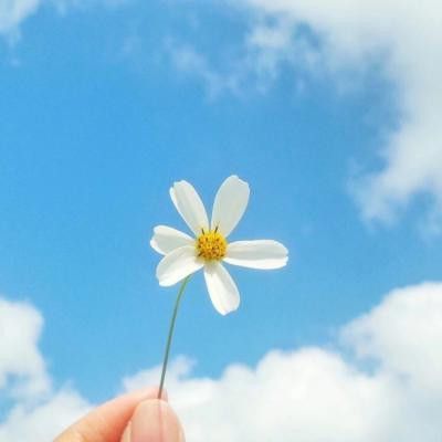 解封状态的图片