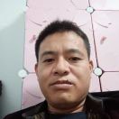 周武d2
