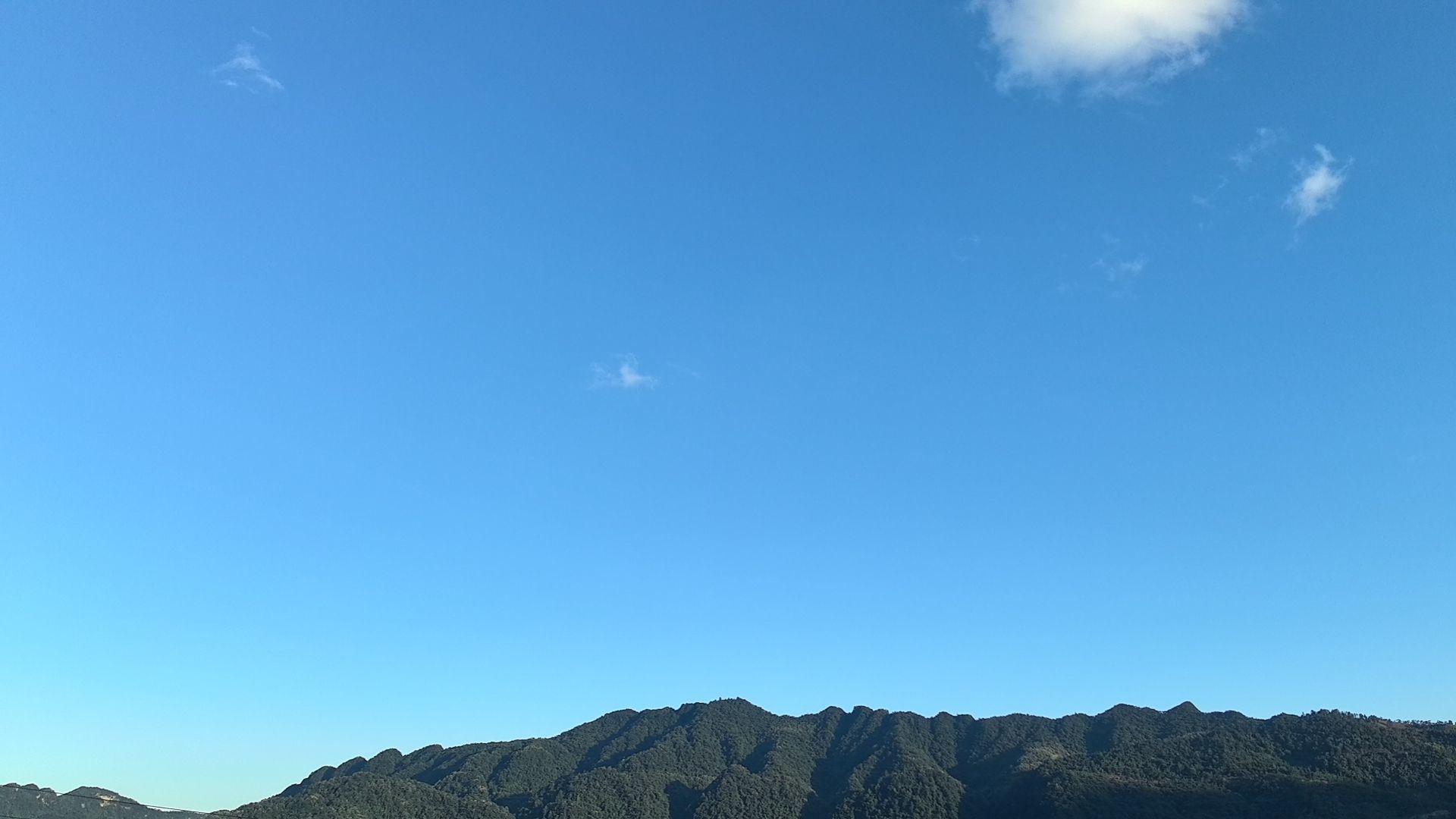 唯爱🌺小艾的图片