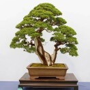 辉记u5