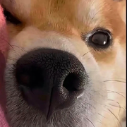 暂停⏸⏸⏸