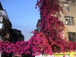 麦麦籽主播照片