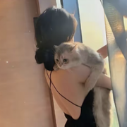𝒯𝓈.牛奶馒头