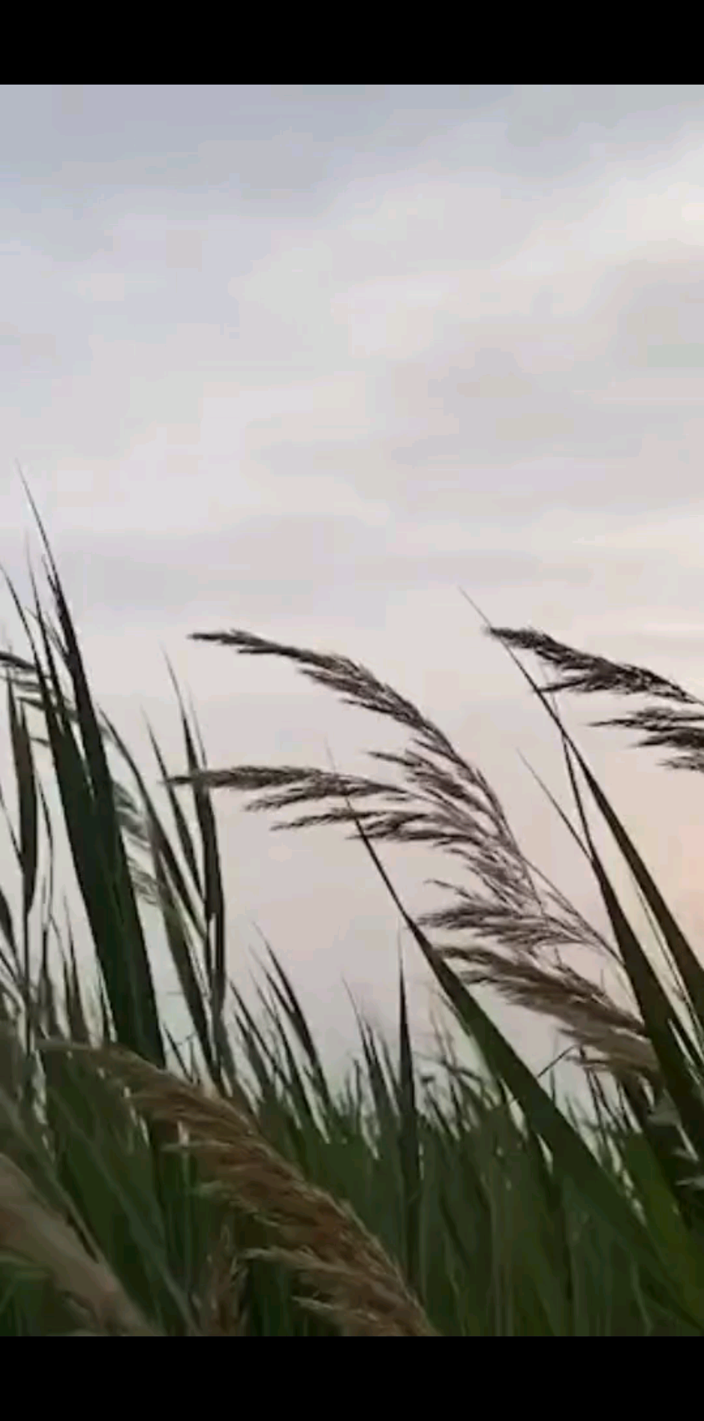 岁月静好，时光安暖