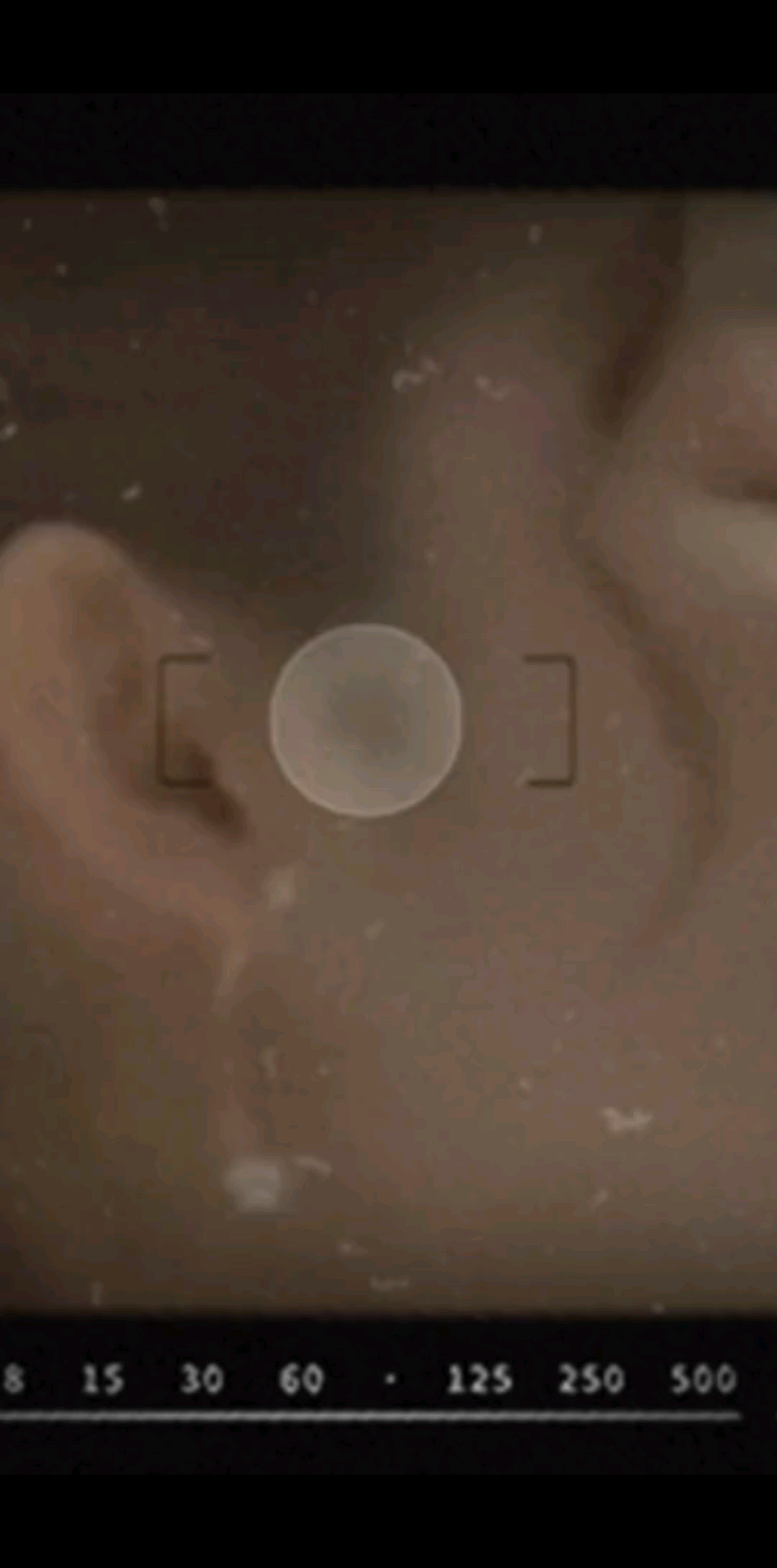 甜蜜