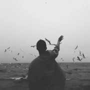 花开花落满青春