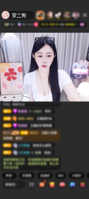 感谢神秘人赠送天空游乐园1个