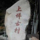 福星高照zn