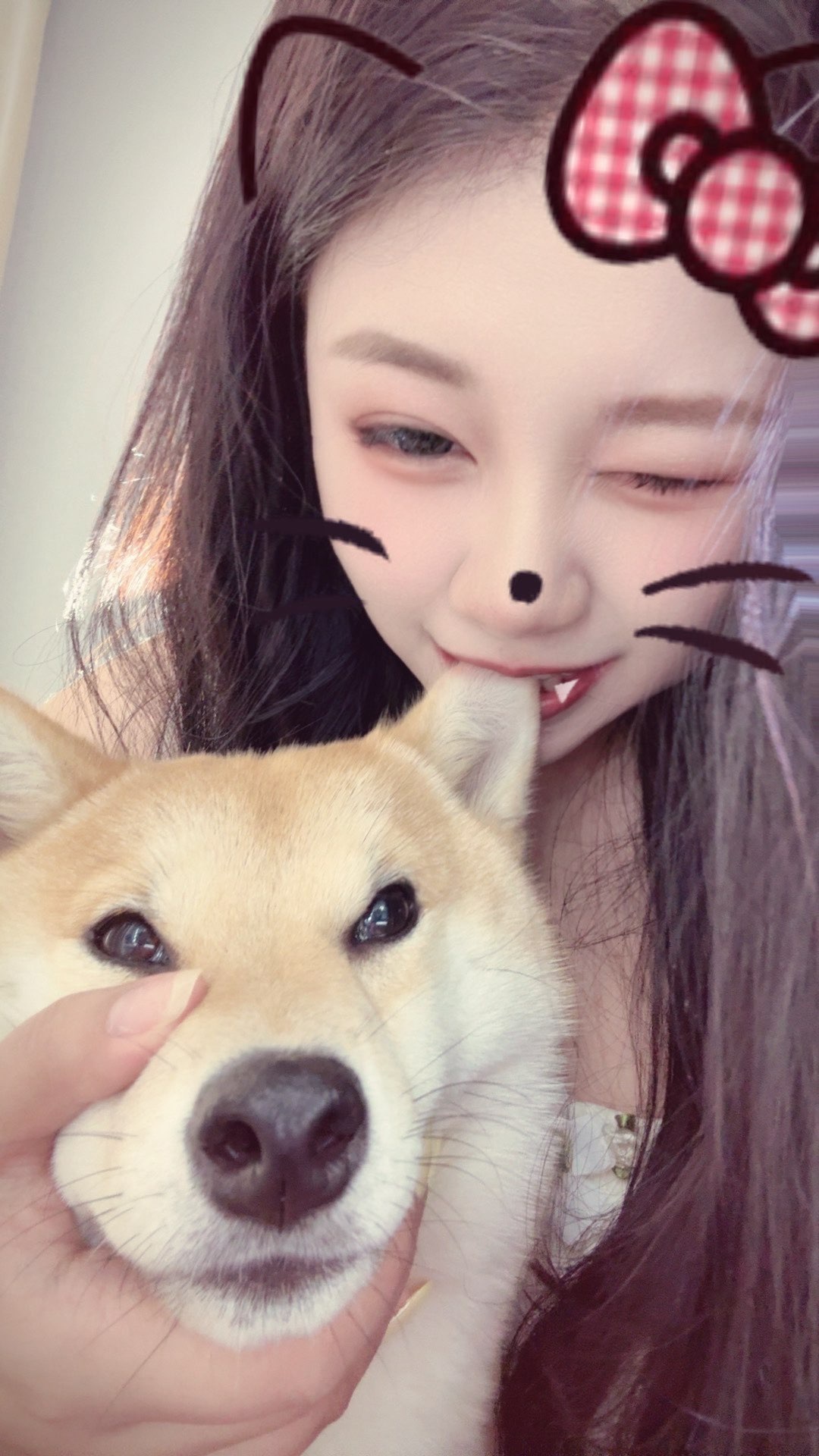 灵儿努力升级的图片