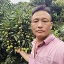 严跃z的头像