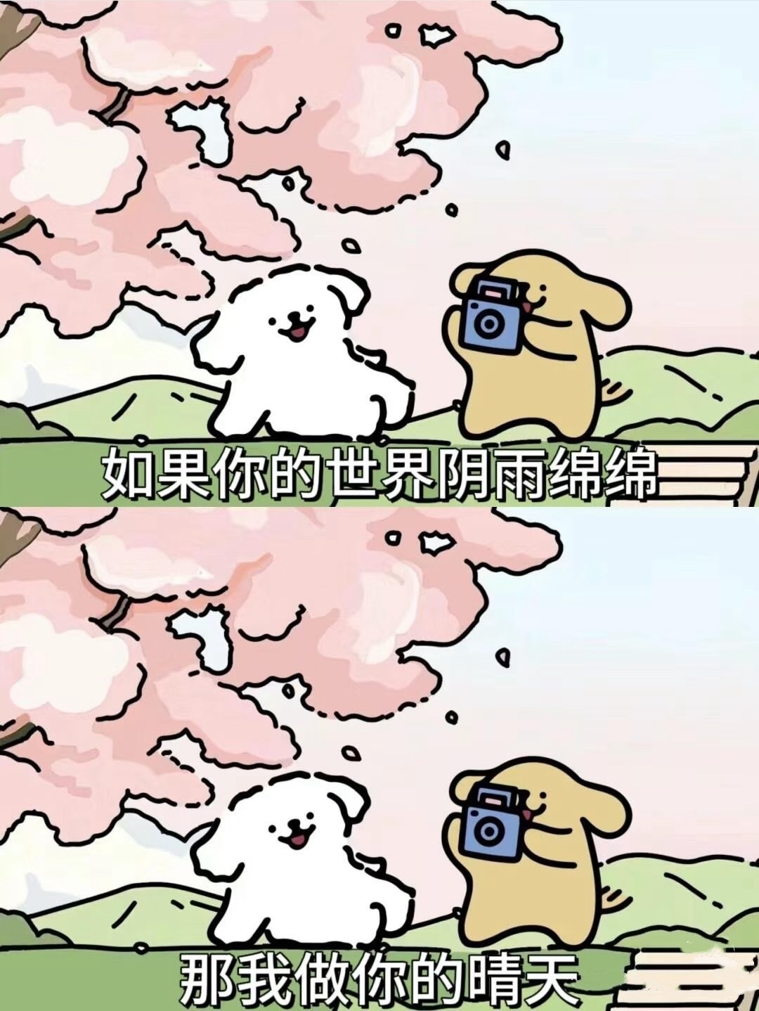 倾城🌸跳舞最哇塞的图片
