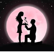 花开🌹花落🥀花无