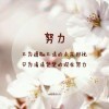 夜雨微澜醉闻晚风