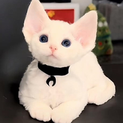 ▦熠熠喜欢乒乓球▦