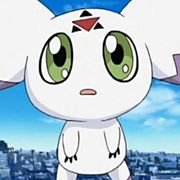 如颖随行fi