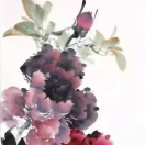 Gsucb的頭像