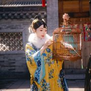 新人团子