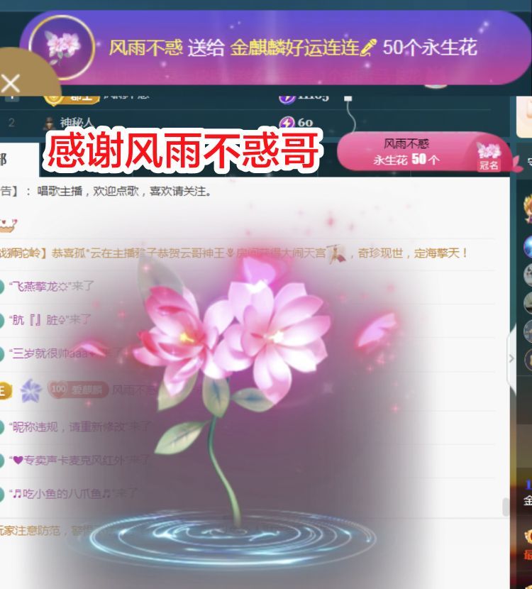 金麒麟好运连连🎤主播图片
