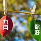 相思的夜u0