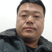 流浪的鹰🦅