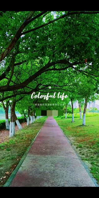 時(shí)光清淺，歲月安然，