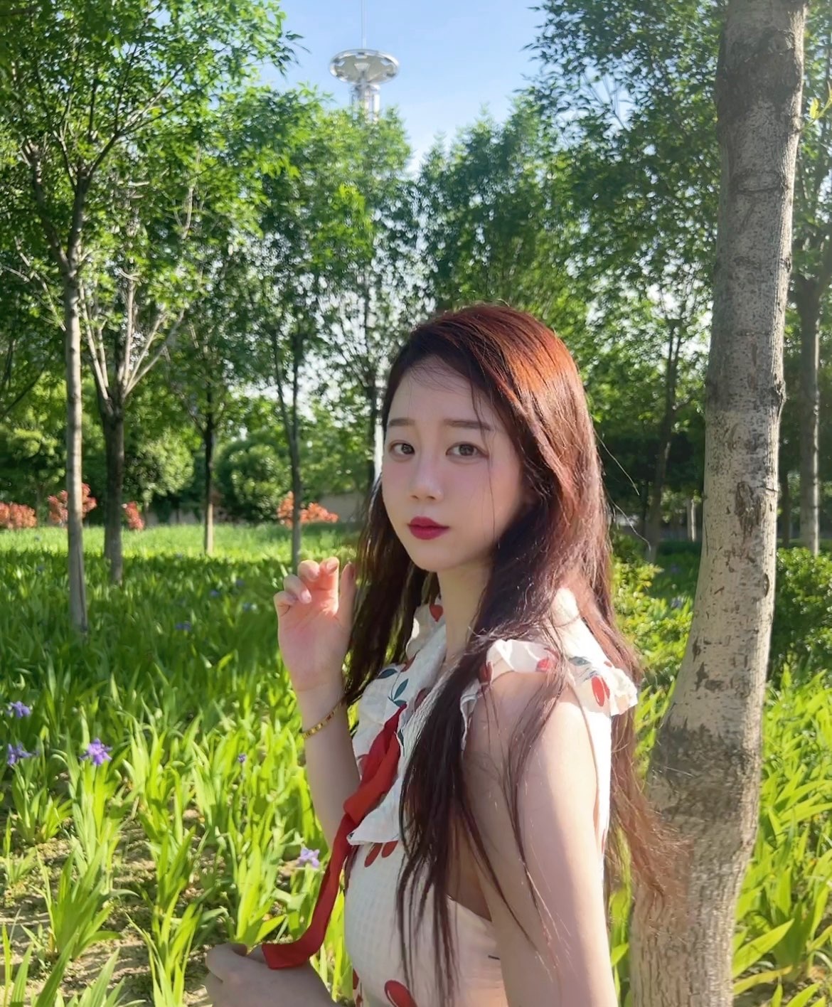 贝儿小刺猬.的图片