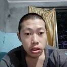 叶白术w