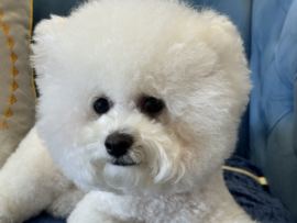 小蝶好运来👑～主播照片
