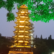 西瓜卷起来🎋