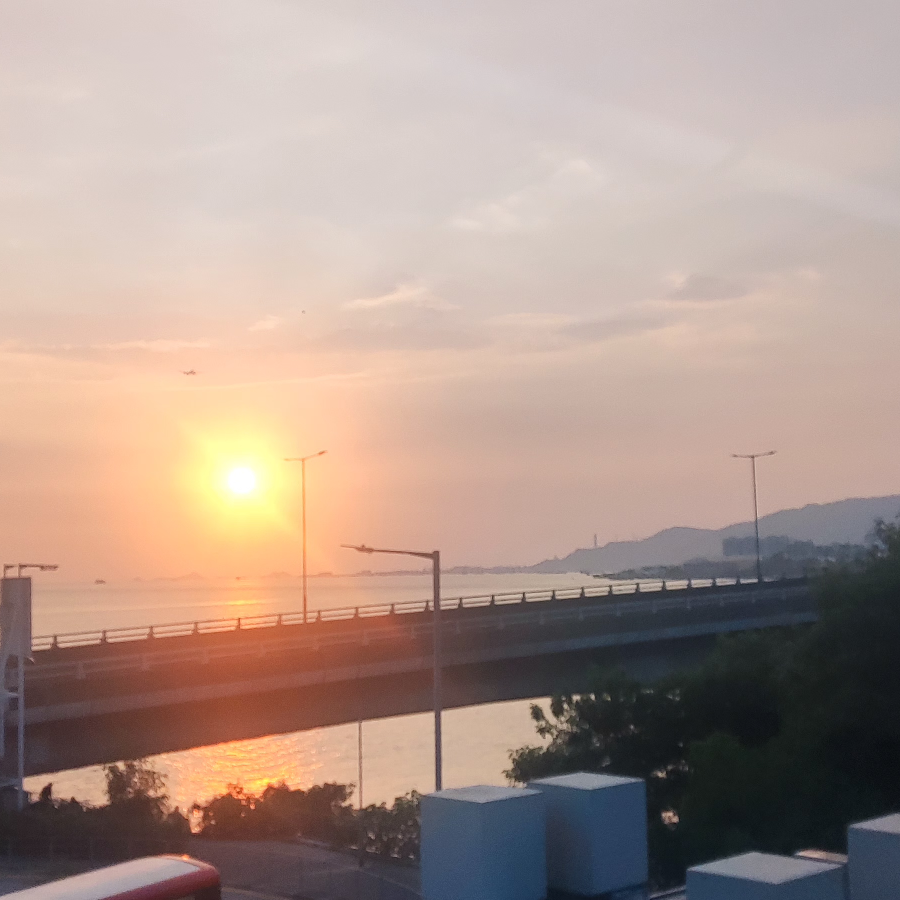 帅帅de虎海报