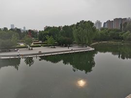 别致选择主播照片